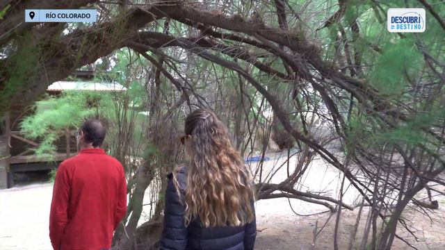 Los Lirios: una experiencia patagónica de ensueño en Río Colorado смотреть онлайн