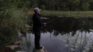 ЩУКА НА СПИННИНГ!!! Только закинь. Щука осенью. Ловля щуки. Спиннинг с берега. Рыбалка в сентябре.