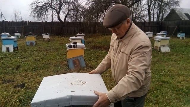 Пасека Лаврова. Осенний контроль за пчелосемьями смотреть онлайн