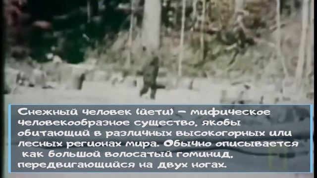 7 чудес Кузбасса Артема Артеева Азасская пещера смотреть онлайн