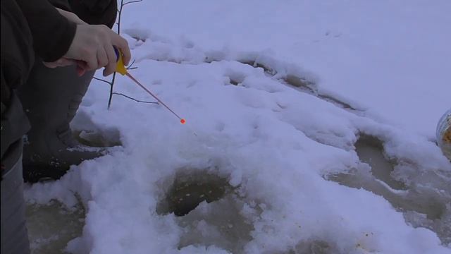 Рыбалка на Карельском озере. Поймал плотву на балансир. смотреть онлайн