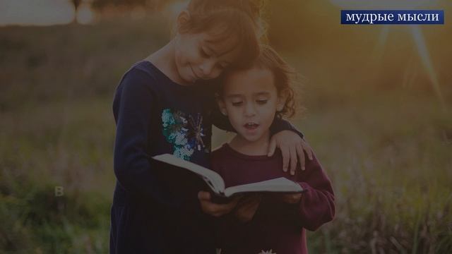 Лучшие Афоризмы о Жизни | Интересные Мысли и Фразы смотреть онлайн