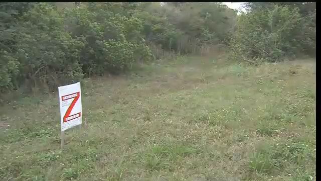 Strip mall could be built near JetBlue Park ABC 7 com WZVN News for Fort Myers, Cape Coral & Napl смотреть онлайн