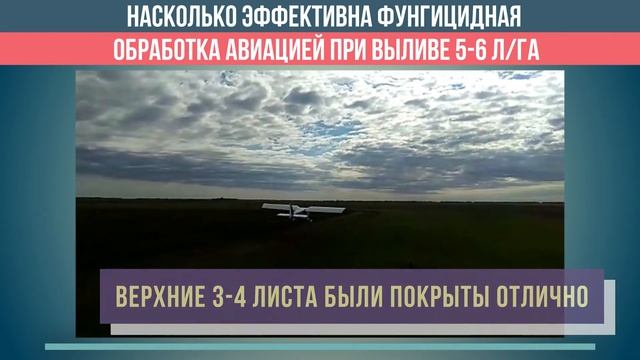 Эффективна ли фунгицидная обработка при норме расхода 5-6 л/га? смотреть онлайн