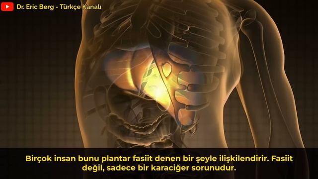 Ayaklarınızın Karaciğer Sorunlarınız Hakkında Size Söyleyebileceği 9 Şey – Dr Berg смотреть онлайн