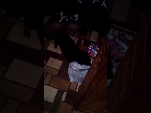 11 сентября 2022 г. смотреть онлайн