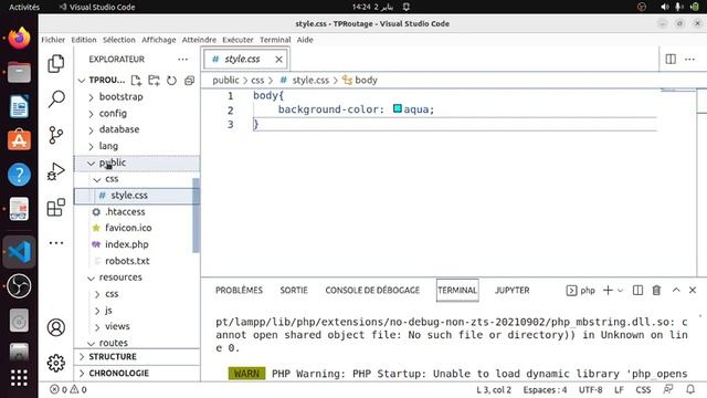 Laravel (Developper en Back-end) : V25 Style du site смотреть онлайн