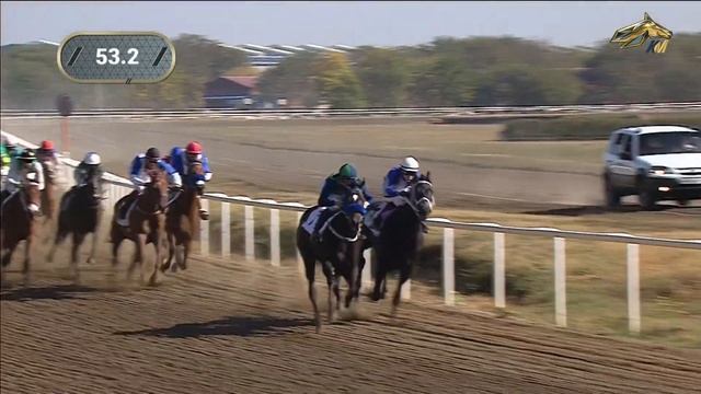 1-я Скачка. ПРИЗ ТРАНСВААЛЬ. Краснодарский ипподром 14 октября 2023