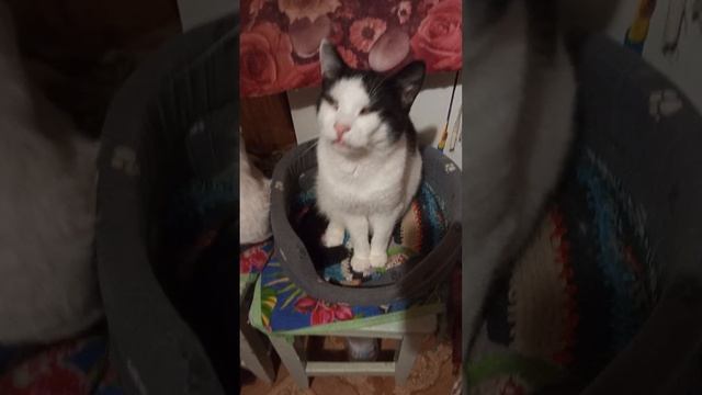 Обратная сторона нашей красивой медали??... смотреть онлайн