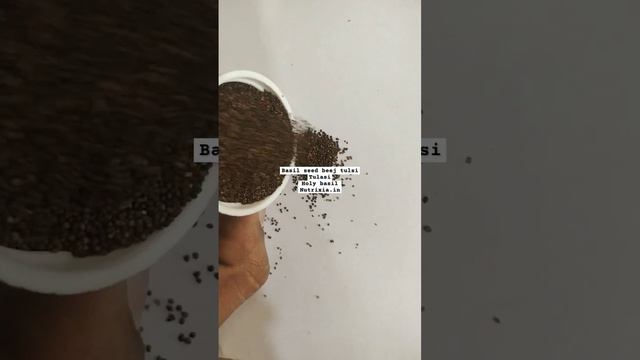 Basil seed beej tulsi Tulasi Holy basil Nutrixia.in смотреть онлайн