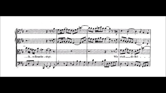 J. S. Bach – Cantata "Lass, Fürstin, lass noch einen Strahl", BWV 198 смотреть онлайн