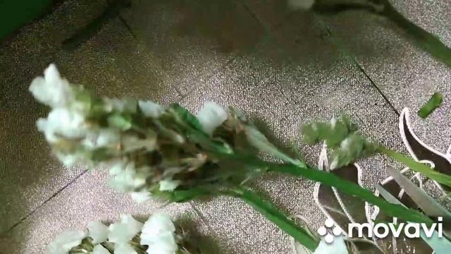 Преображение Господне. Украшение иконы. смотреть онлайн