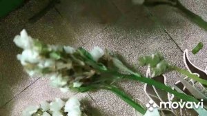 Преображение Господне. Украшение иконы.