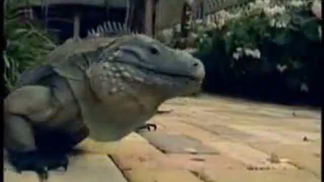 Tours-TV.com: Nature of Cayman Islands смотреть онлайн