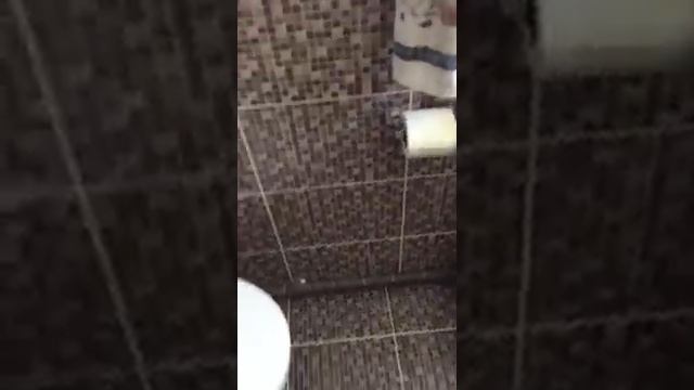 Санузел в деревянном доме смотреть онлайн