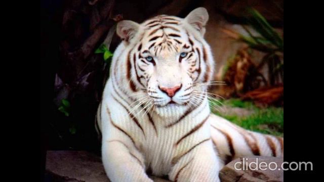 00.08 - а вы знаете...вопрос смотреть онлайн