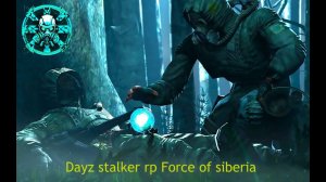 ☢️DAYZ STALKER RP • Force of Siberia • Знакомимся с сервером