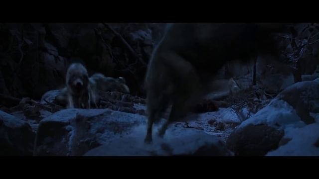 Великий Тигр (момент с волками) смотреть онлайн