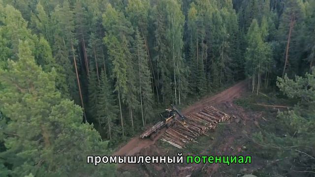 Плюсы жизни в Сибири / Advantages Of Living In Siberia  #сибирь, #siberia