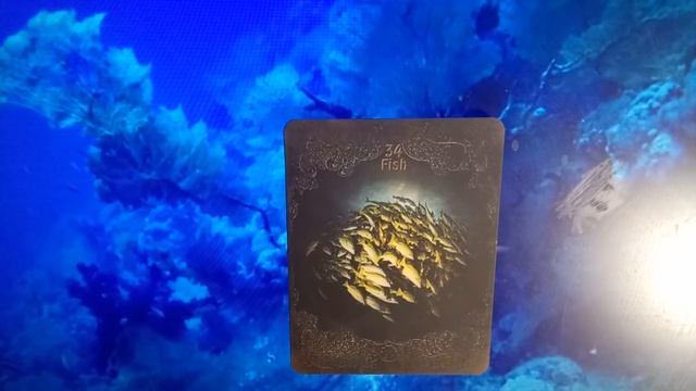 КАРТА 34.РЫБЫ, ВСЕ ТАЙНЫ КАРТЫ, УРОКИ МАСТЕРСТВА с Агатой Добровской смотреть онлайн