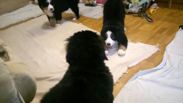 1 01 01 2018 Cheerful, healthy children смотреть онлайн