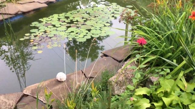 Голубые озёра Донецкая область/Отдых на Голубых Озёрах/База отдыха «Дача Уют»/День 1 смотреть онлайн