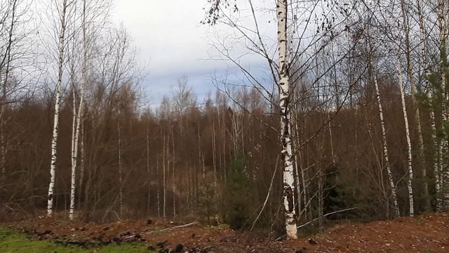 ноябрь в средней полосе России смотреть онлайн