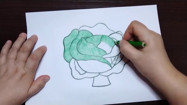 ASMR шепот// Капуста ?// Мурашки// Расслабление// Звуки карандаша// Для сна// смотреть онлайн