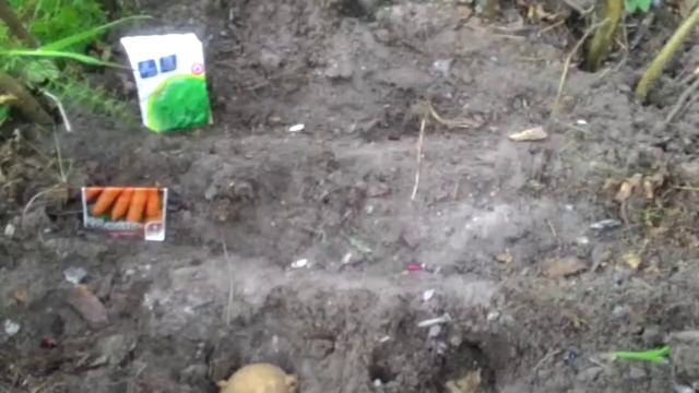 Подсечно-огневое земледелие для туриста. Часть 1. "Готовим грядки и сажаем" смотреть онлайн