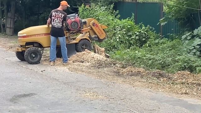 Пушкино. Улица Некрасова. Ремонт смотреть онлайн