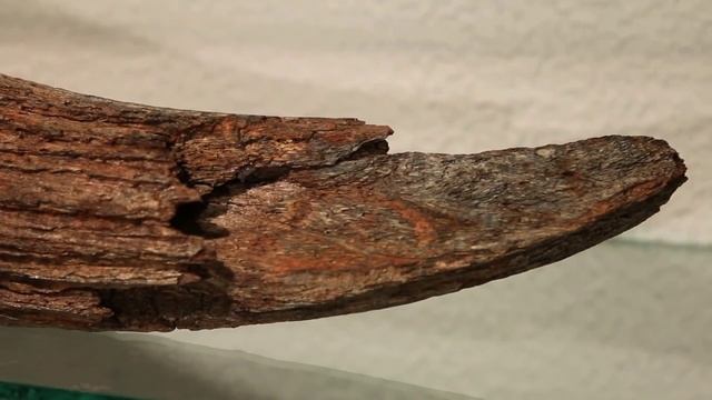 Музей охоты и рыболовства Росохотрыболовсоюза смотреть онлайн