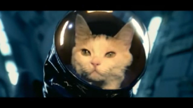 Котенка запустили в космос смотреть онлайн