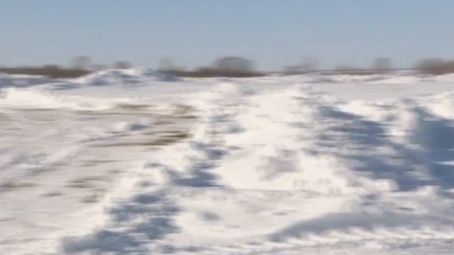 В субботу состоятся гонки смотреть онлайн