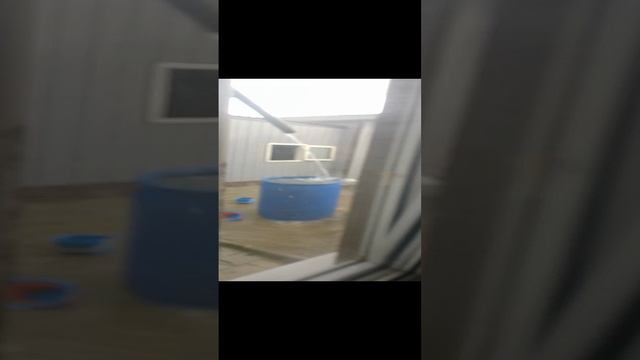 дождик смотреть онлайн