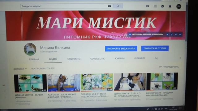 УРА !!!! НА НАШЕМ КАНАЛЕ - 5 000 - ПОДПИСЧИКОВ !!!! ( ПИТОМНИК "МАРИ МИСТИК" ) смотреть онлайн