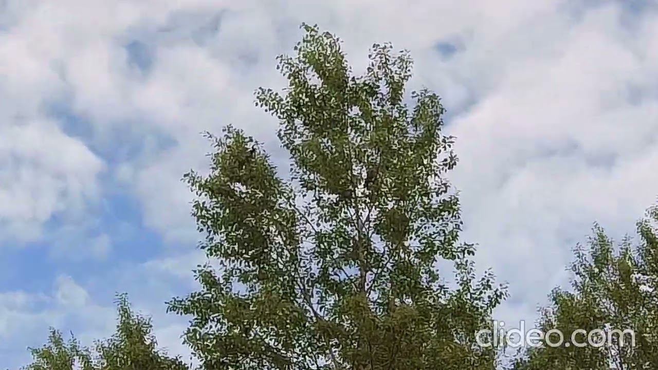 Вопрос зрителям. смотреть онлайн