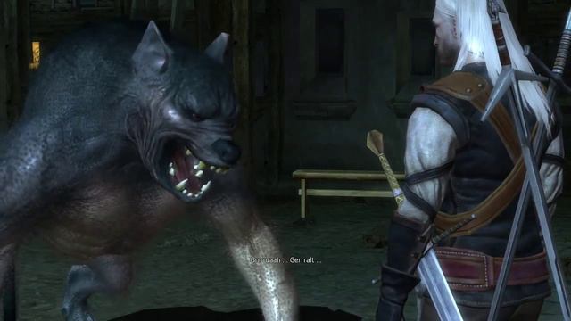 Let's Play The Witcher - Nr#49 - Vincent der Werwolf смотреть онлайн