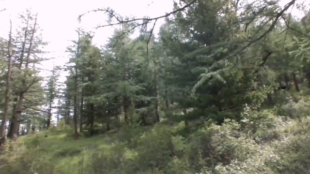 Горный Алтай, одиночный поход. (7 дней). смотреть онлайн