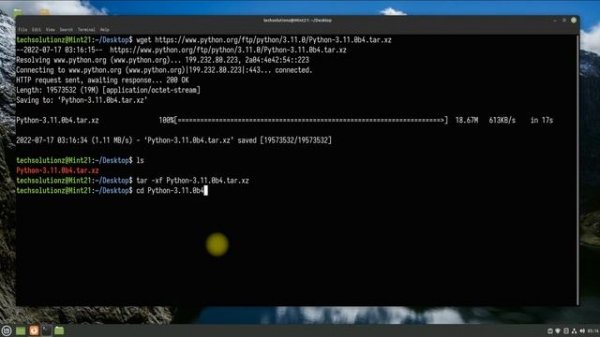 How to Install Python 3.11.0 on Linux | Python 3.11.0 Installation on Linux Mint 21
