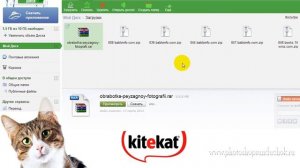 Как скачать файлы с Яндекс.Диска и Гугл.Диска | Как скачать и сохранить файлы на свой компьютер