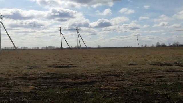 Кинза 10 соток смотреть онлайн