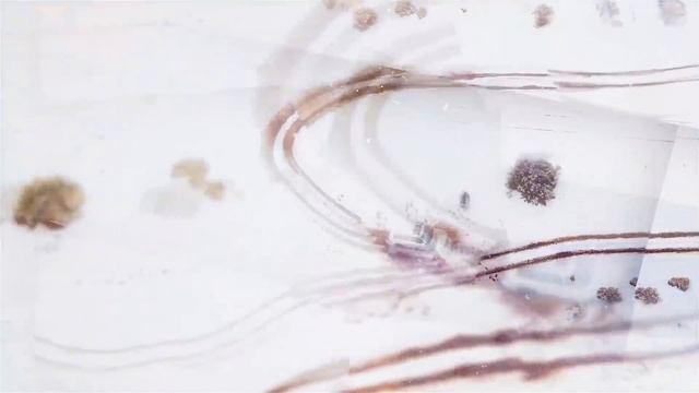 Abnaa Al Watan … National Medley 91 | أبناء الوطن … ميدلي وطني ٩١ смотреть онлайн