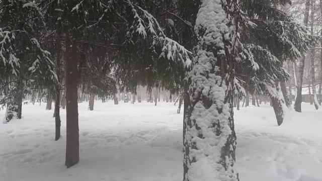 Прогноз Радугимира на 2023 год. смотреть онлайн