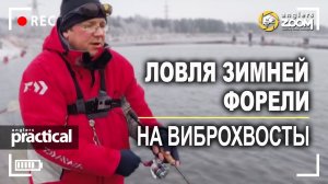 Ловля зимней форели на виброхвосты. А. Рыжов. Anglers Practical