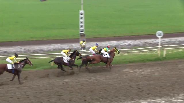 Видео 7 скаковой день 26 06 2021г  Краснодарский ипподром