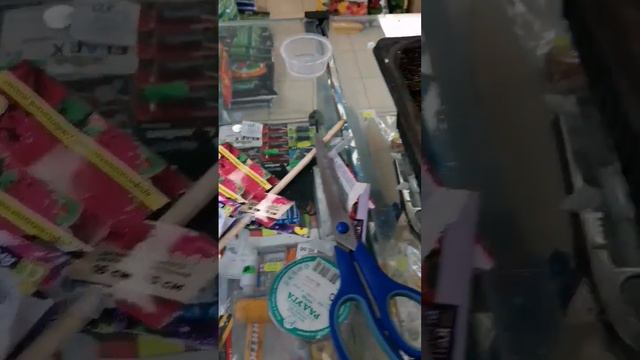 Посадила Петунию второй раз. Психанула. 16.02.24 смотреть онлайн