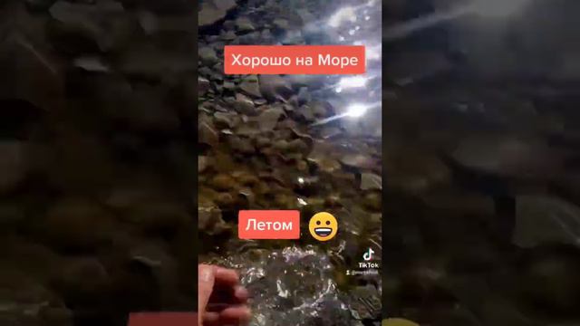 Зачем мне солнце ,Монако 😃#песмашинист #markellrud #рекомендации смотреть онлайн