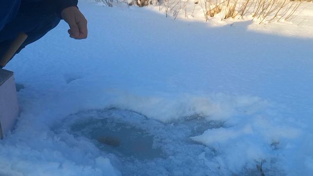 Хариус на мормышку. Зимняя рыбалка на малых реках смотреть онлайн