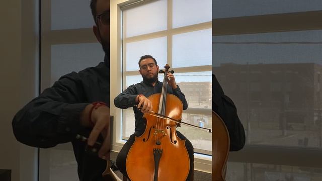 HYS Debut String Orchestra Sample Audition - Cello смотреть онлайн
