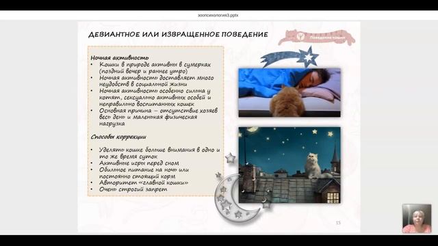 Девиантное поведение кошки. Проблемы размещения лотка для кошек. Светлана Пономарева смотреть онлайн